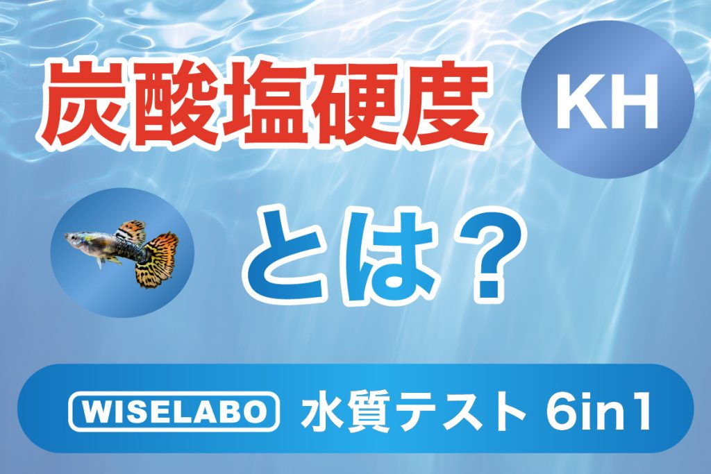 炭酸塩硬度とは？